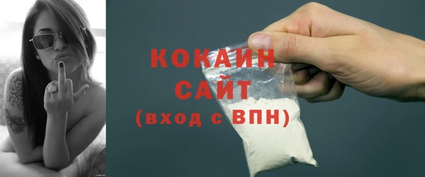 шишки Богородицк