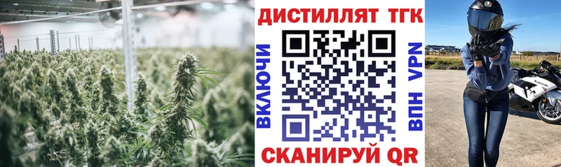 мега как войти  darknet какой сайт  Дистиллят ТГК вейп с тгк  Дмитриев 