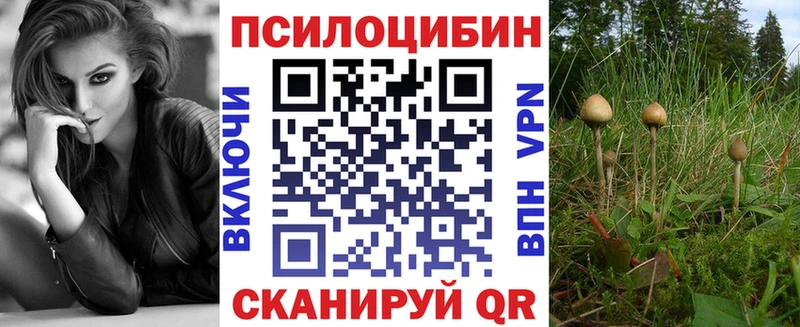 Псилоцибиновые грибы Cubensis  Дмитриев 